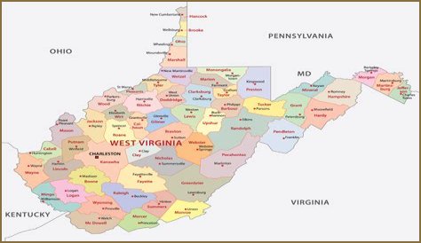 What is Predrag Gosta Net Worth 2024: Bio, Age, Height, Family, Music Style, And More